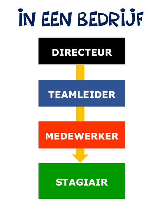 schema hierarchie in bedrijf